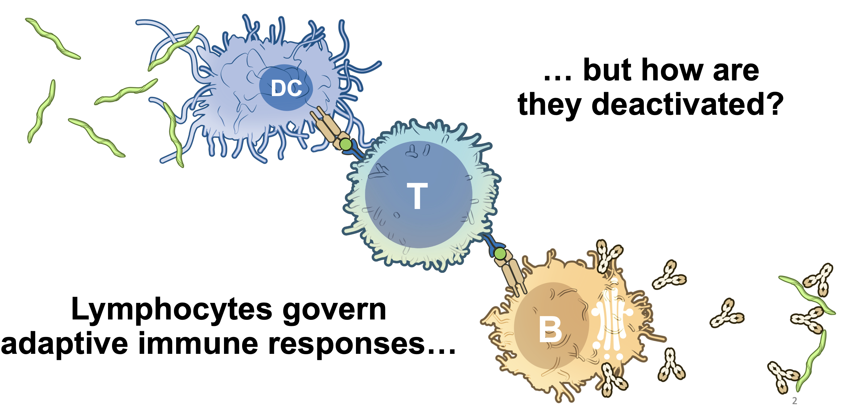Research question illustration